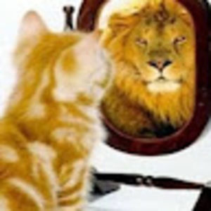 Meet your Posher, Mim